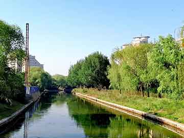 爱上海：Shanghai Forum Preview! How can future cities create a livable environment？}}